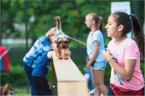 Площадка для выгула собак